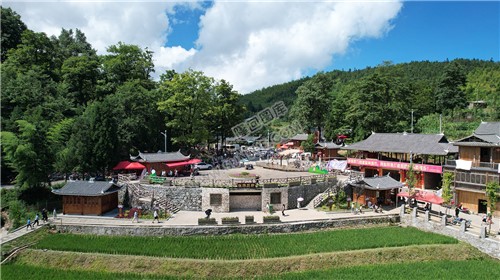 隆回崇木凼古树林