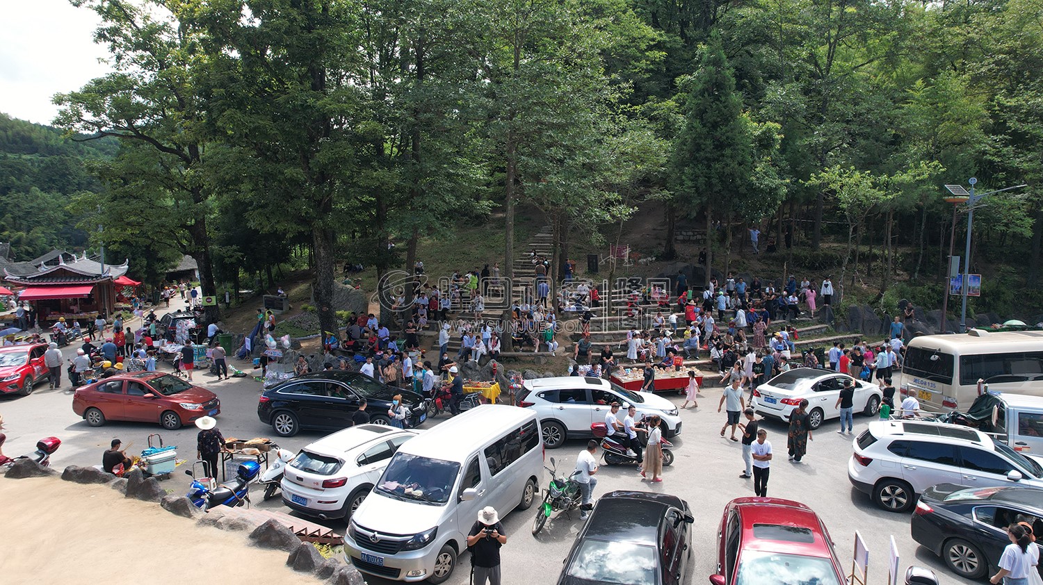 隆回崇木凼古树林