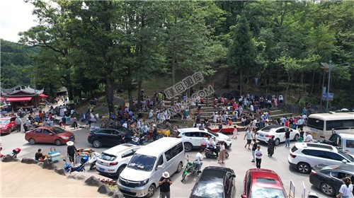 隆回崇木凼古树林