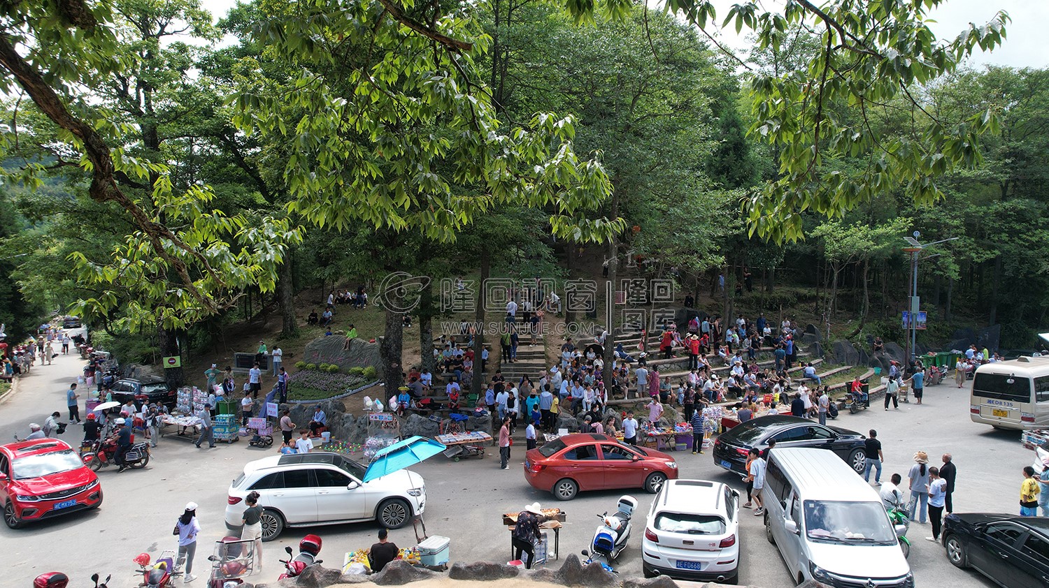 隆回崇木凼古树林