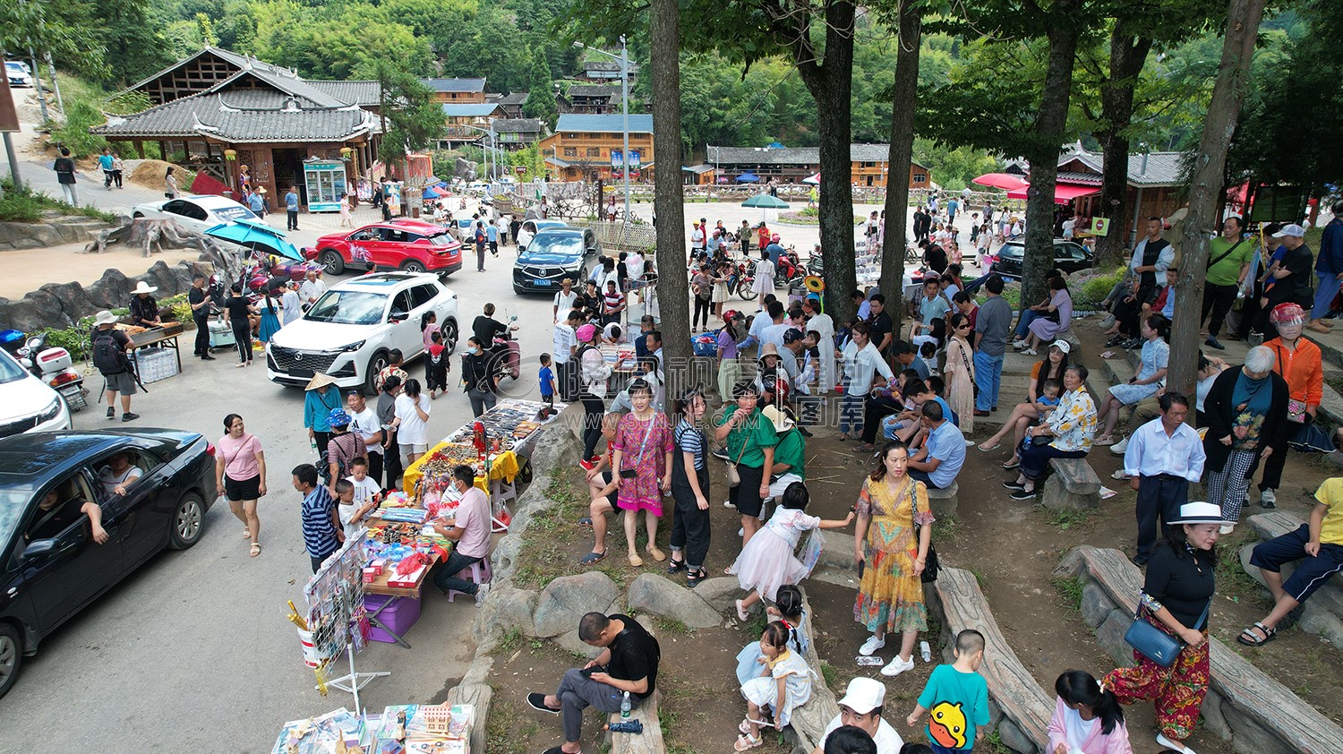 隆回崇木凼古树林