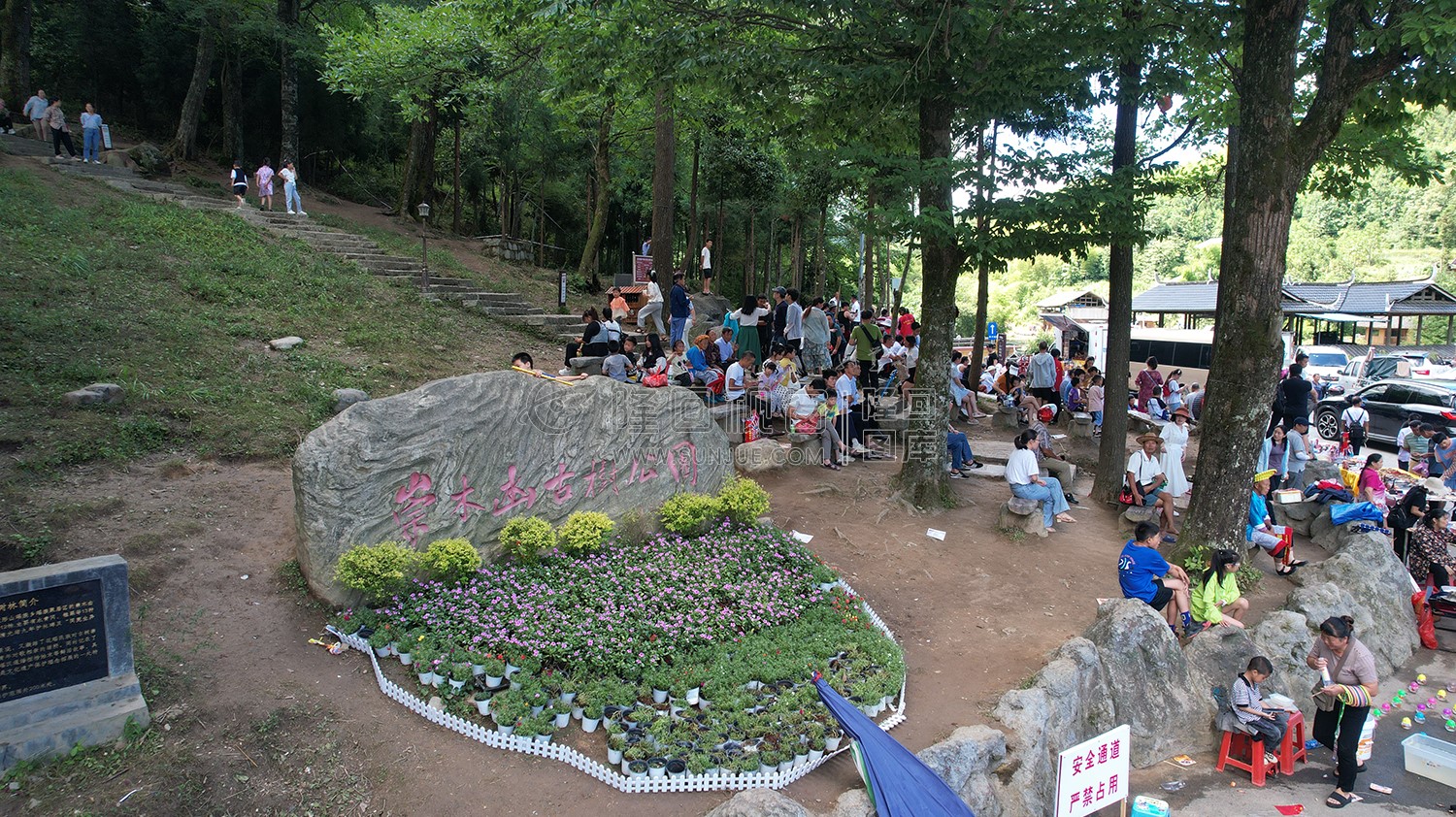 隆回崇木凼古树林