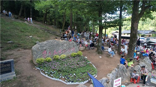 隆回崇木凼古树林