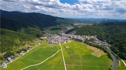 隆回苏河村，千亩稻田连片，木瓜山水流入