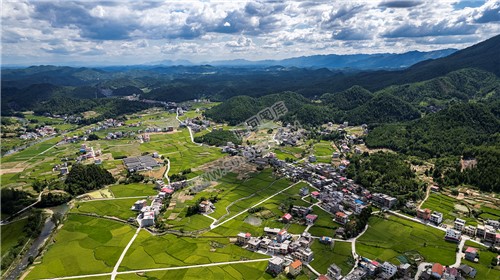 隆回苏河村，千亩稻田连片，木瓜山水流入