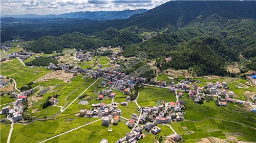 隆回苏河村，千亩稻田连片，木瓜山水流入