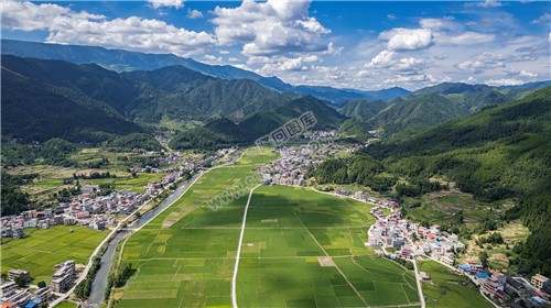 隆回苏河村，千亩稻田连片，木瓜山水流入