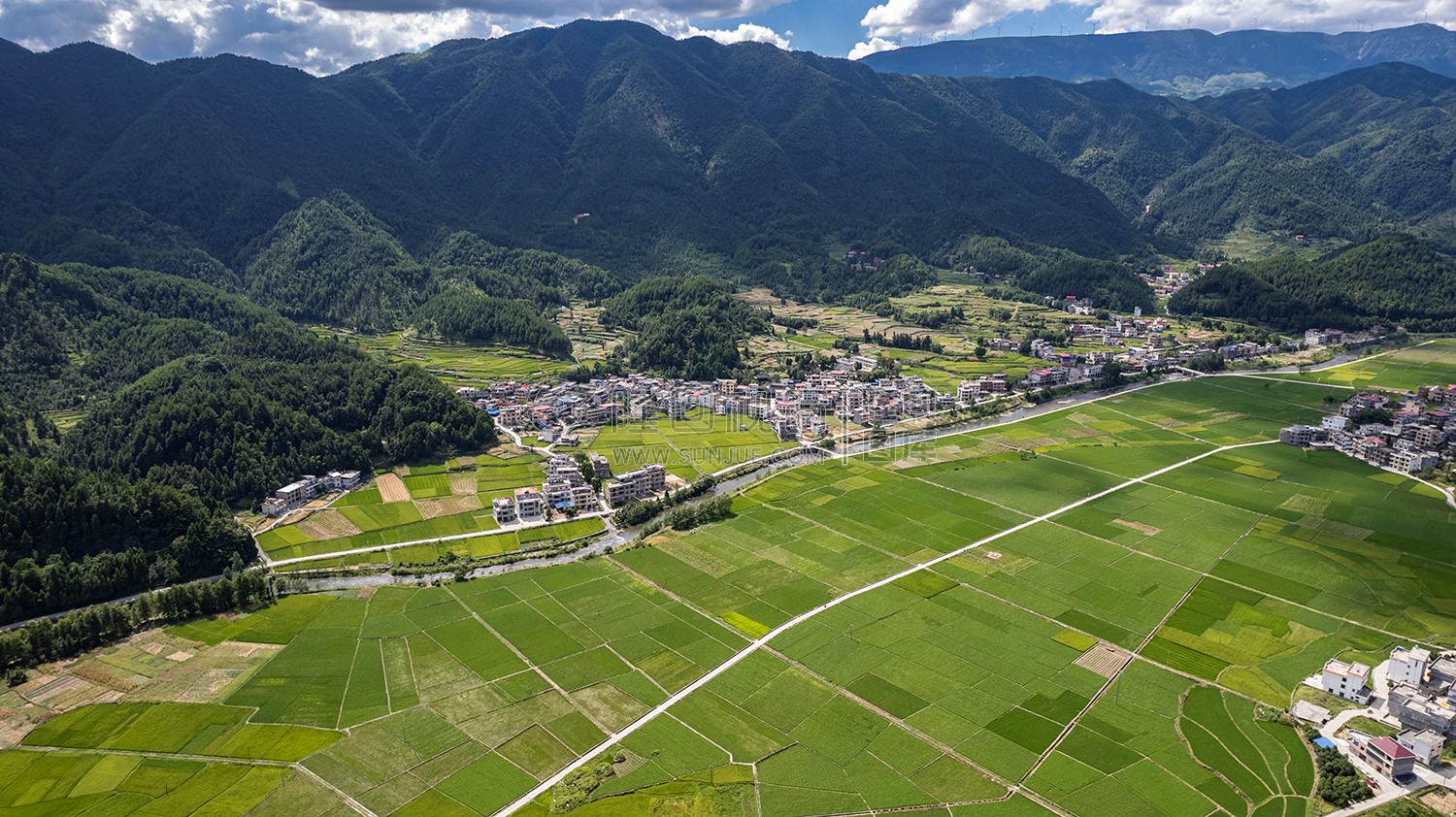 隆回苏河村，千亩稻田连片，木瓜山水流入