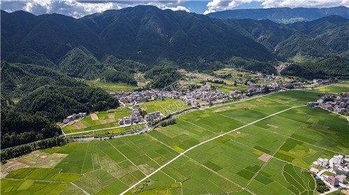 隆回苏河村，千亩稻田连片，木瓜山水流入