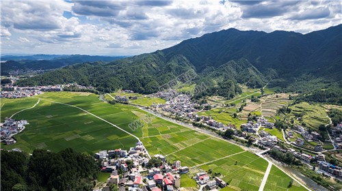 隆回苏河村，千亩稻田连片，木瓜山水流入