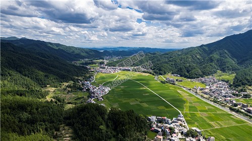 隆回苏河村，千亩稻田连片，木瓜山水流入