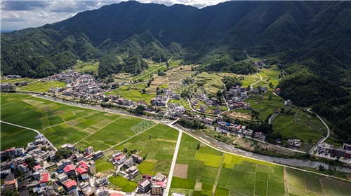 隆回苏河村，千亩稻田连片，木瓜山水流入