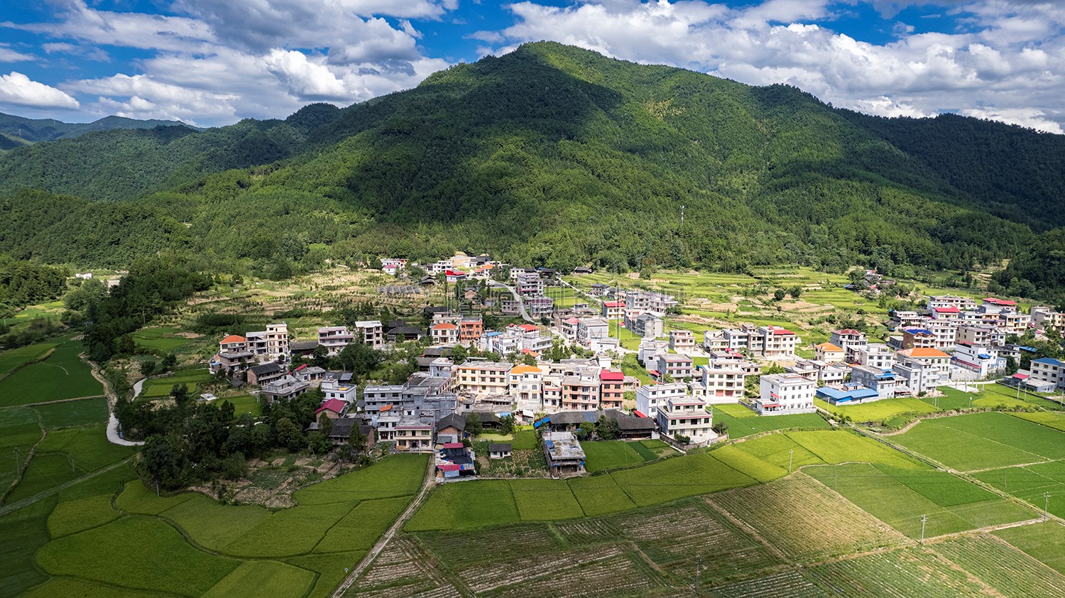 隆回苏河村，千亩稻田连片，木瓜山水流入