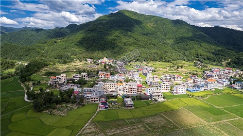 隆回苏河村，千亩稻田连片，木瓜山水流入