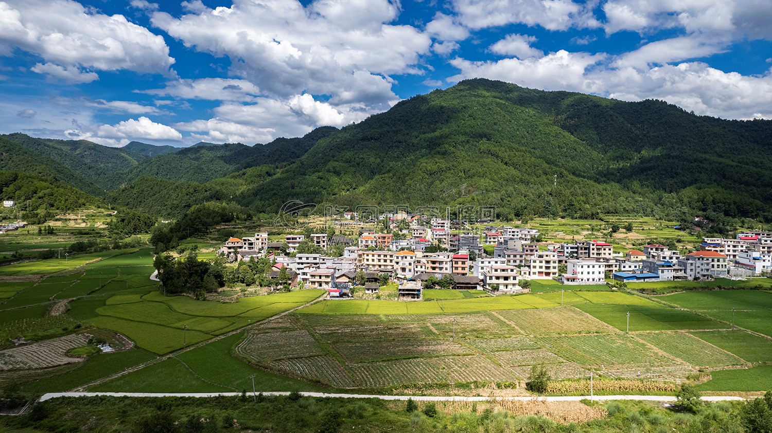 隆回苏河村，千亩稻田连片，木瓜山水流入