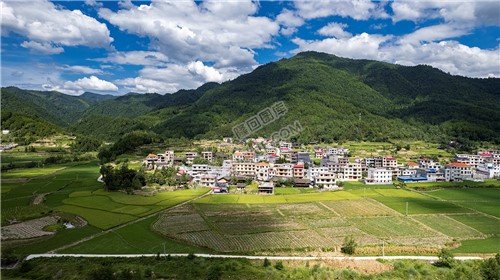 隆回苏河村，千亩稻田连片，木瓜山水流入