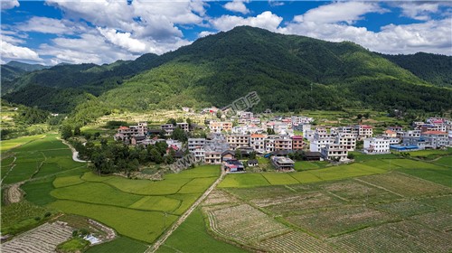 隆回苏河村，千亩稻田连片，木瓜山水流入