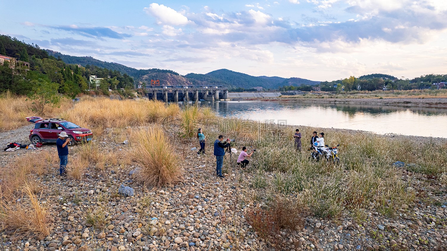 中洲电站的那片芦苇荡，深秋时节漂亮极了