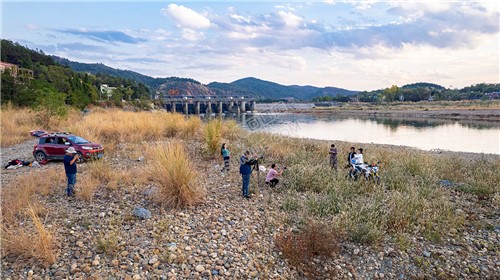 中洲电站的那片芦苇荡，深秋时节漂亮极了