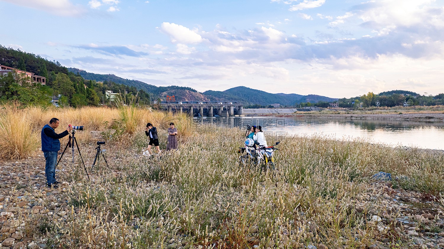 中洲电站的那片芦苇荡，深秋时节漂亮极了