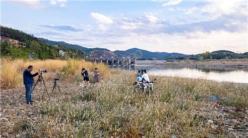 中洲电站的那片芦苇荡，深秋时节漂亮极了