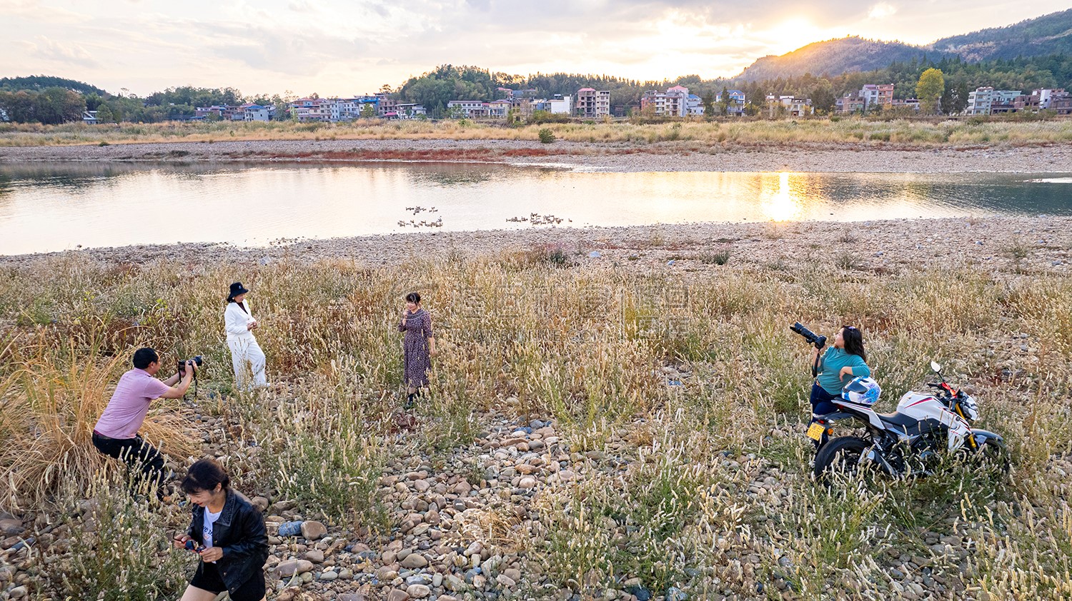 中洲电站的那片芦苇荡，深秋时节漂亮极了