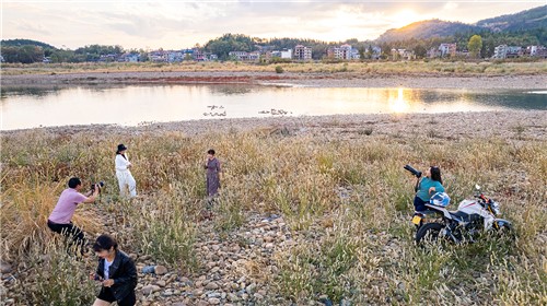 中洲电站的那片芦苇荡，深秋时节漂亮极了