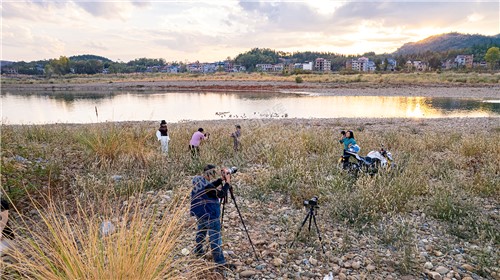 中洲电站的那片芦苇荡，深秋时节漂亮极了
