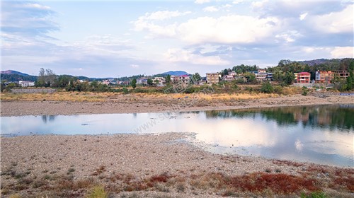 中洲电站的那片芦苇荡，深秋时节漂亮极了