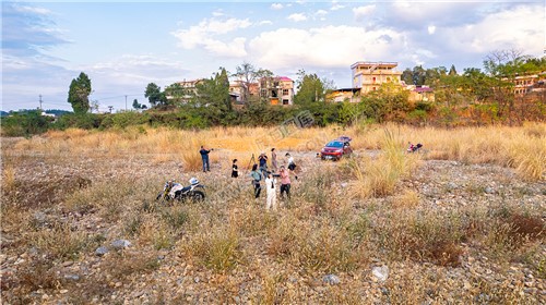 中洲电站的那片芦苇荡，深秋时节漂亮极了