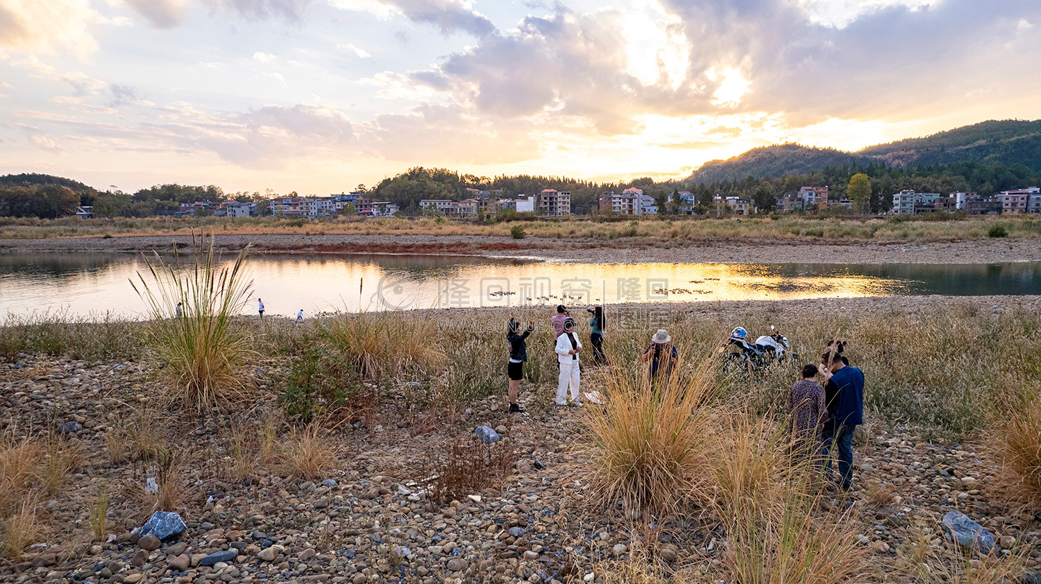 中洲电站的那片芦苇荡，深秋时节漂亮极了