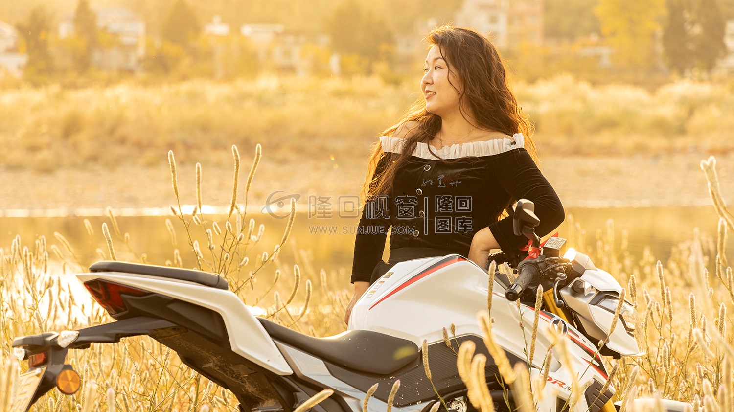 中洲电站的那片芦苇荡，深秋时节漂亮极了