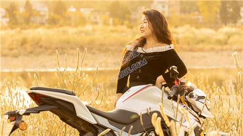 中洲电站的那片芦苇荡，深秋时节漂亮极了