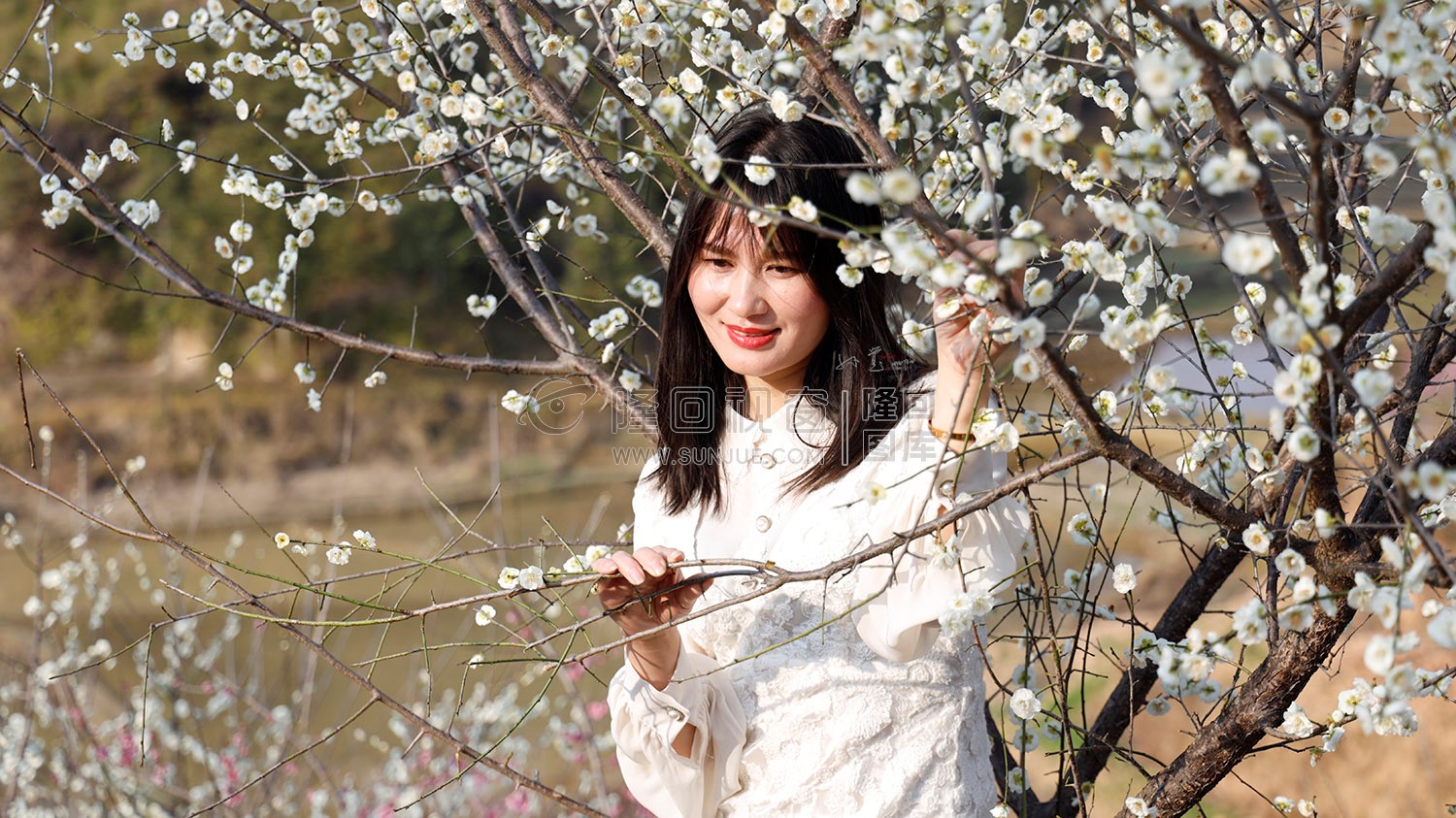 七江守拙园的梅花开了