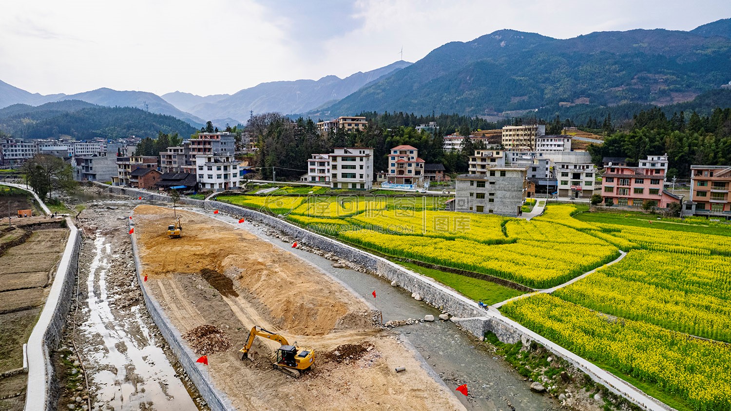 黄金井的油菜花开了