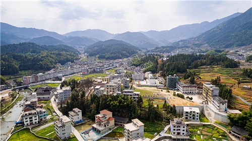 黄金井的油菜花开了