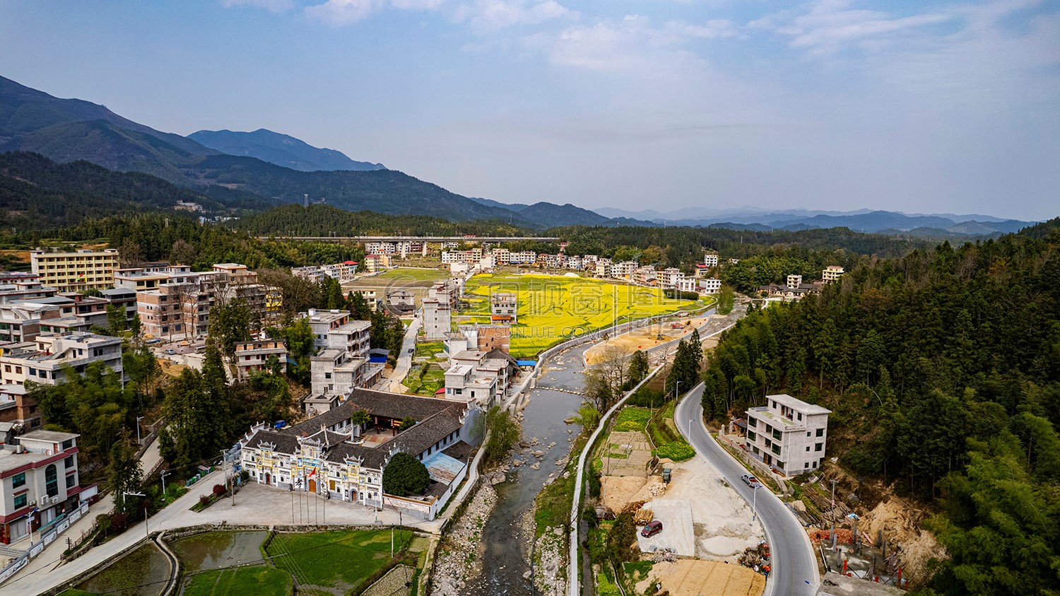 黄金井的油菜花开了