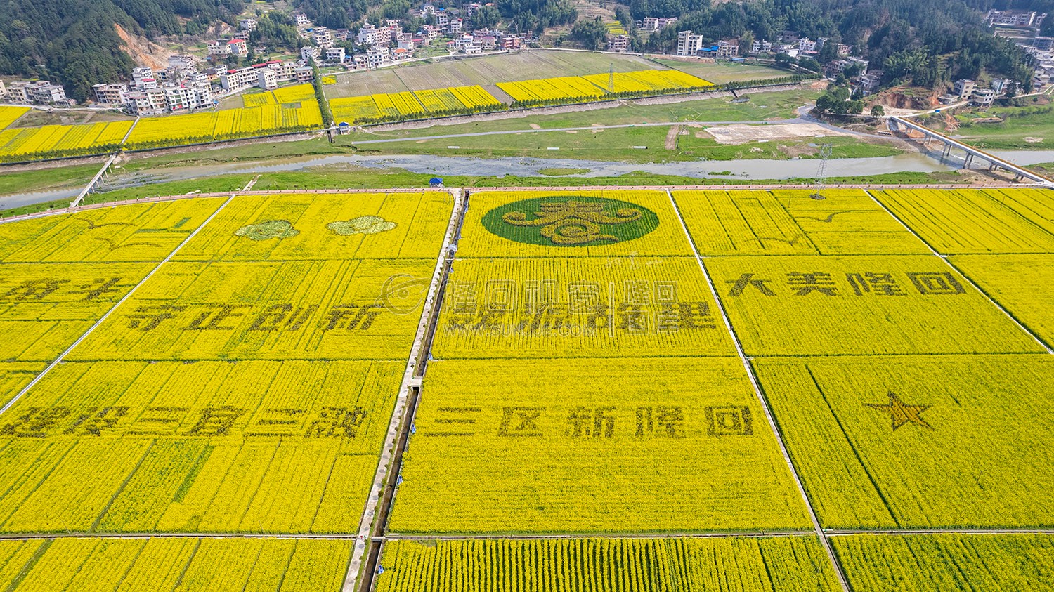 石山湾油菜花基地