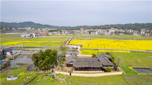魏源故居的油菜花