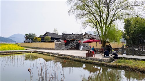 魏源故居的油菜花