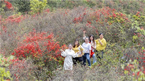 十重大界，一脚踏三县