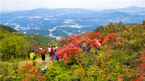十重大界，一脚踏三县