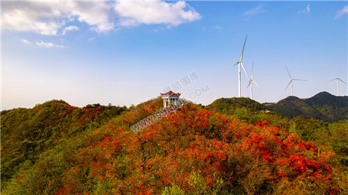 十重大界，一脚踏三县