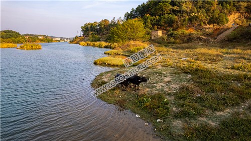 赧水河里的一叶孤舟