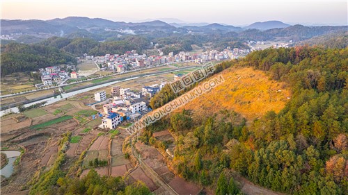 优先村杨家桥村落