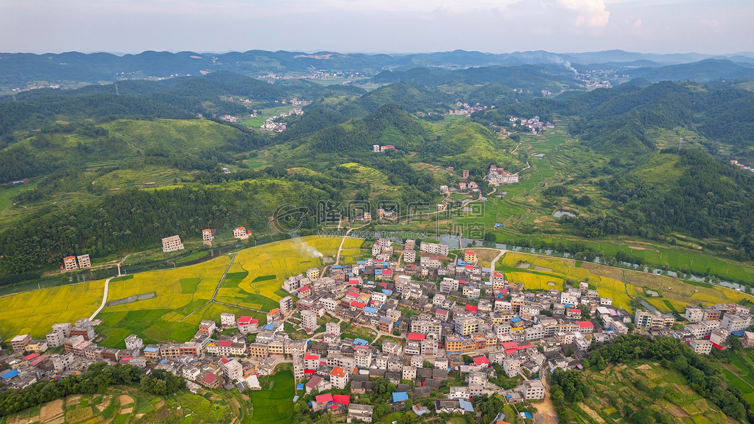 车田村的稻谷黄了