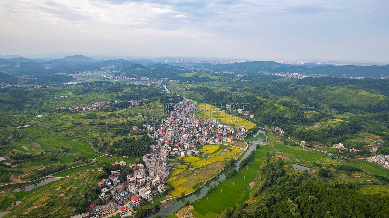 车田村的稻谷黄了