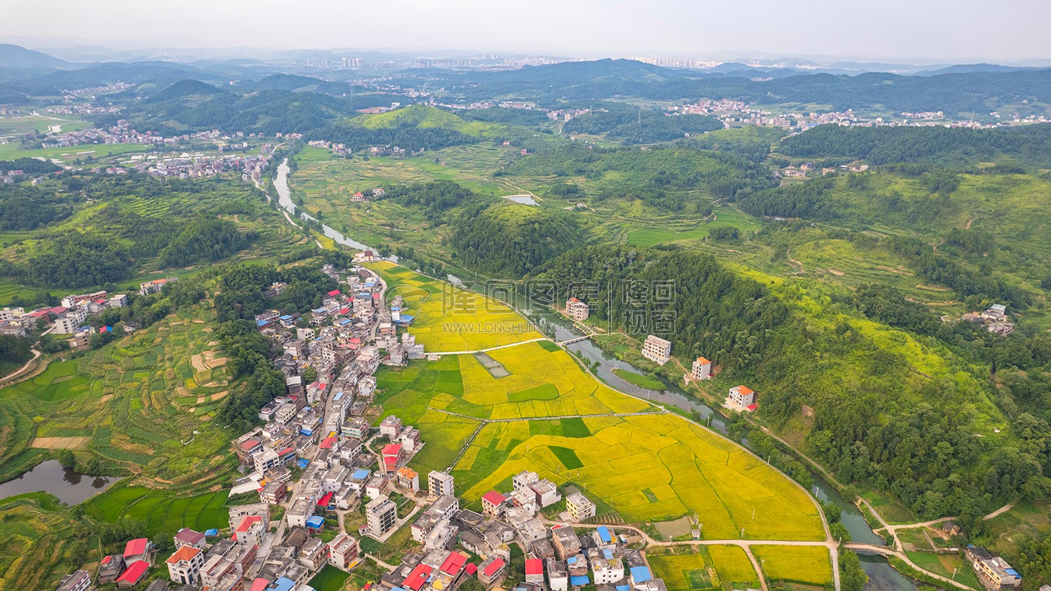 车田村的稻谷黄了