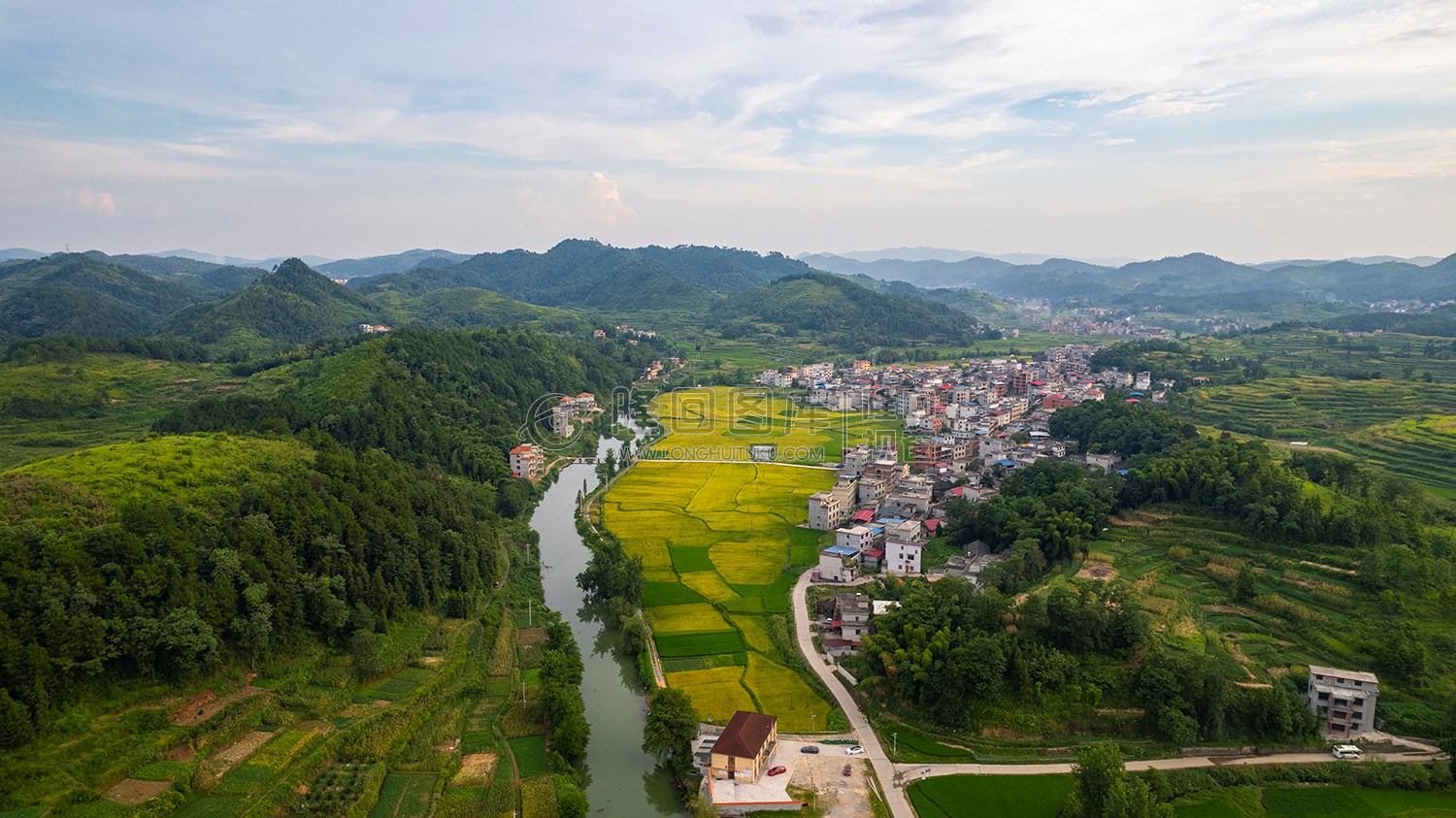 车田村的稻谷黄了