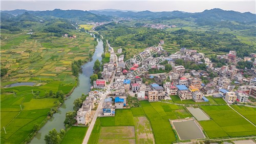 乐荷村，乐居田与荷叶合并